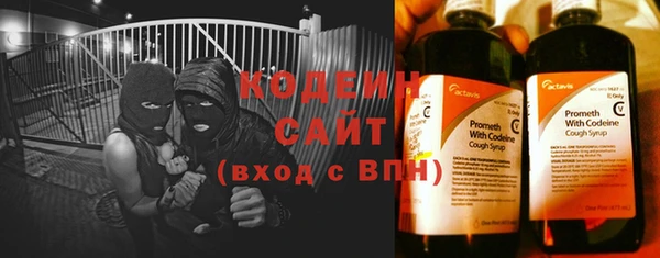 ПСИЛОЦИБИНОВЫЕ ГРИБЫ Новозыбков