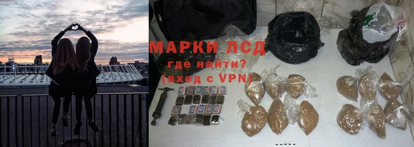 ПСИЛОЦИБИНОВЫЕ ГРИБЫ Новозыбков