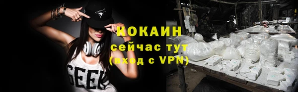 ПСИЛОЦИБИНОВЫЕ ГРИБЫ Новозыбков