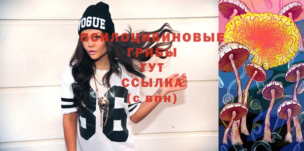 хмурый Нея