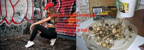 прущий лед Новокубанск