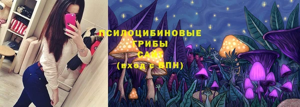 ПСИЛОЦИБИНОВЫЕ ГРИБЫ Новозыбков