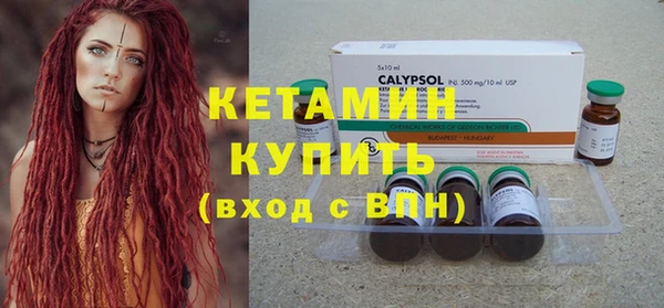 ПСИЛОЦИБИНОВЫЕ ГРИБЫ Новозыбков
