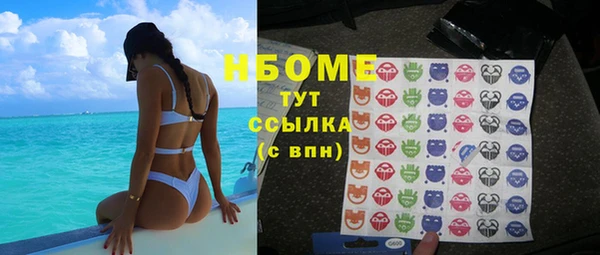 ПСИЛОЦИБИНОВЫЕ ГРИБЫ Новозыбков
