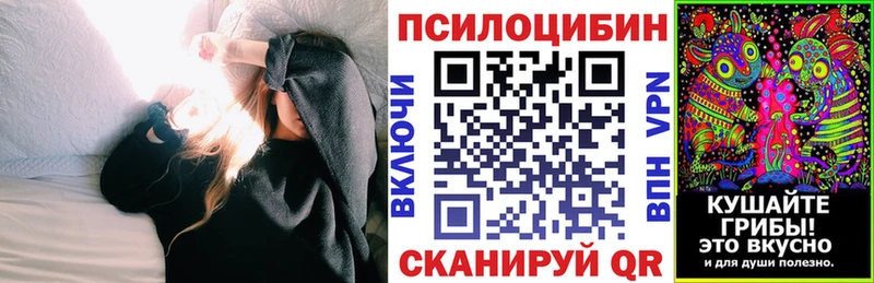 Галлюциногенные грибы Cubensis  kraken ССЫЛКА  Гурьевск  где продают  