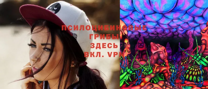 Псилоцибиновые грибы MAGIC MUSHROOMS  даркнет сайт  Гурьевск 