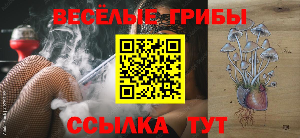 Псилоцибиновые грибы Cubensis Гурьевск