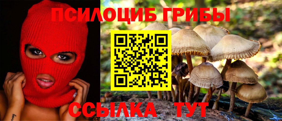 Гурьевск  Псилоцибиновые грибы мицелий  Галлюциногенные грибы мухоморы  где купить наркотик  Вход с VPN 